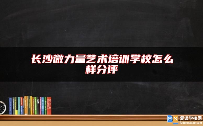 长沙微力量艺术培训学校怎么样分评