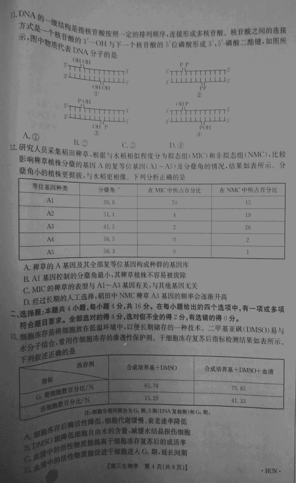 湖南衡阳金太阳2024届高三11月期中考生物试题及答案