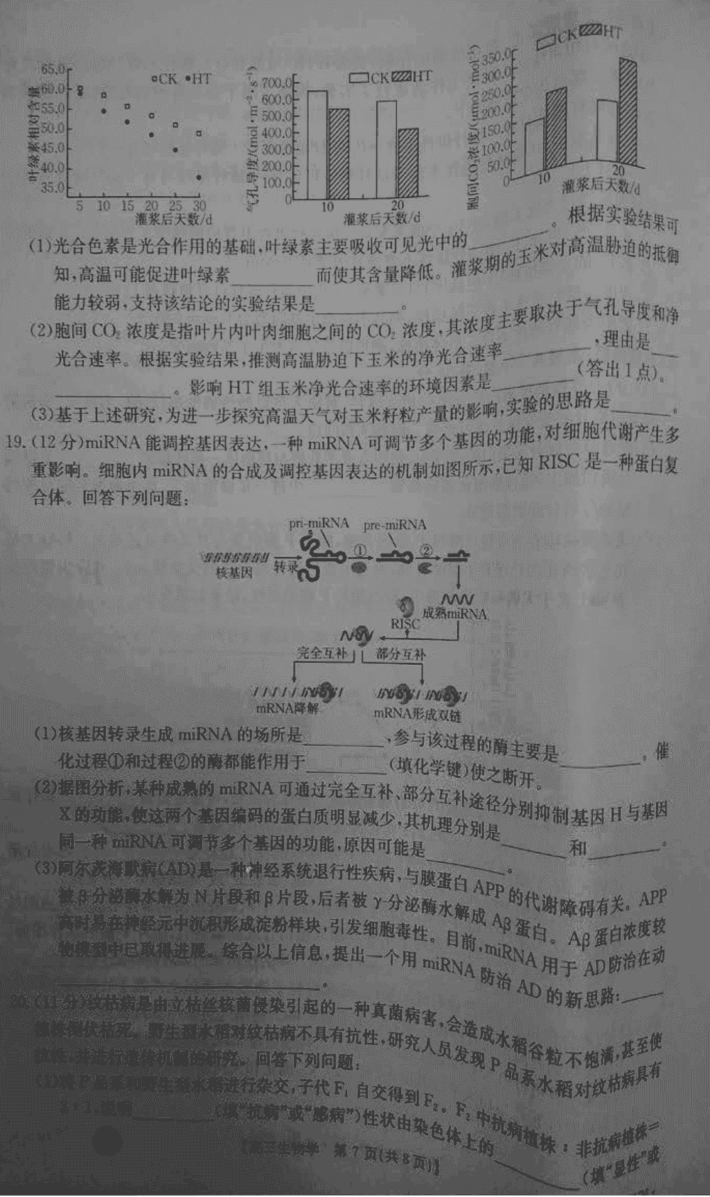 湖南衡阳金太阳2024届高三11月期中考生物试题及答案