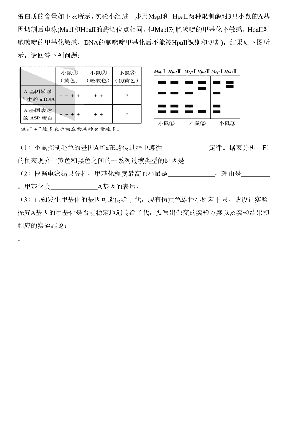 2024届湖南天一大联考高三第三次联考生物试题及答案