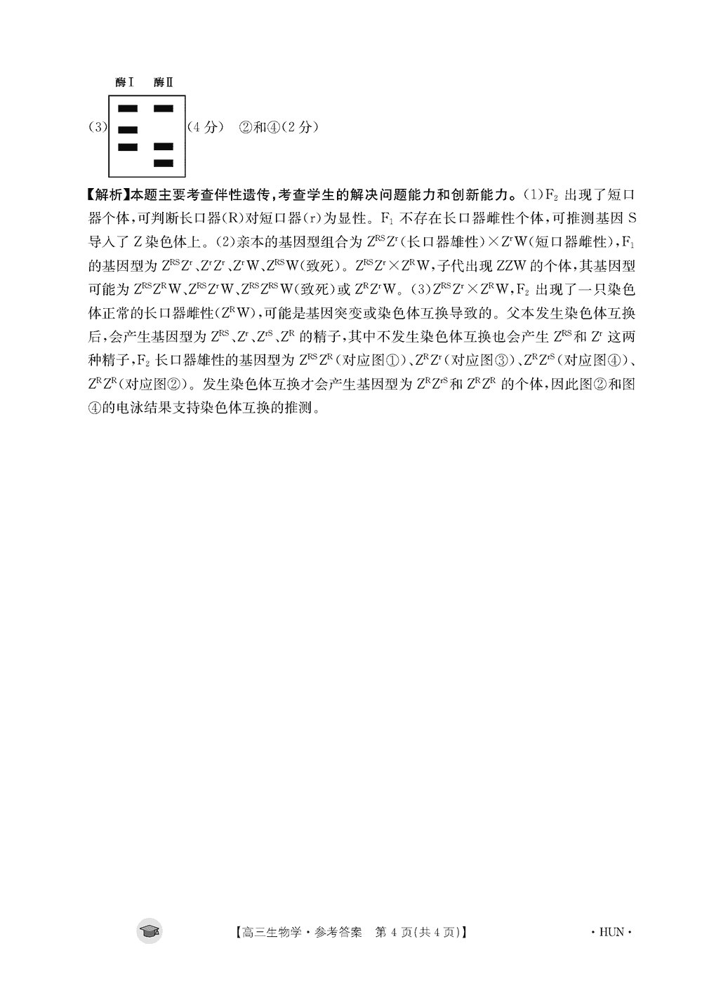 湖南衡阳金太阳2024届高三11月期中考生物试题及答案