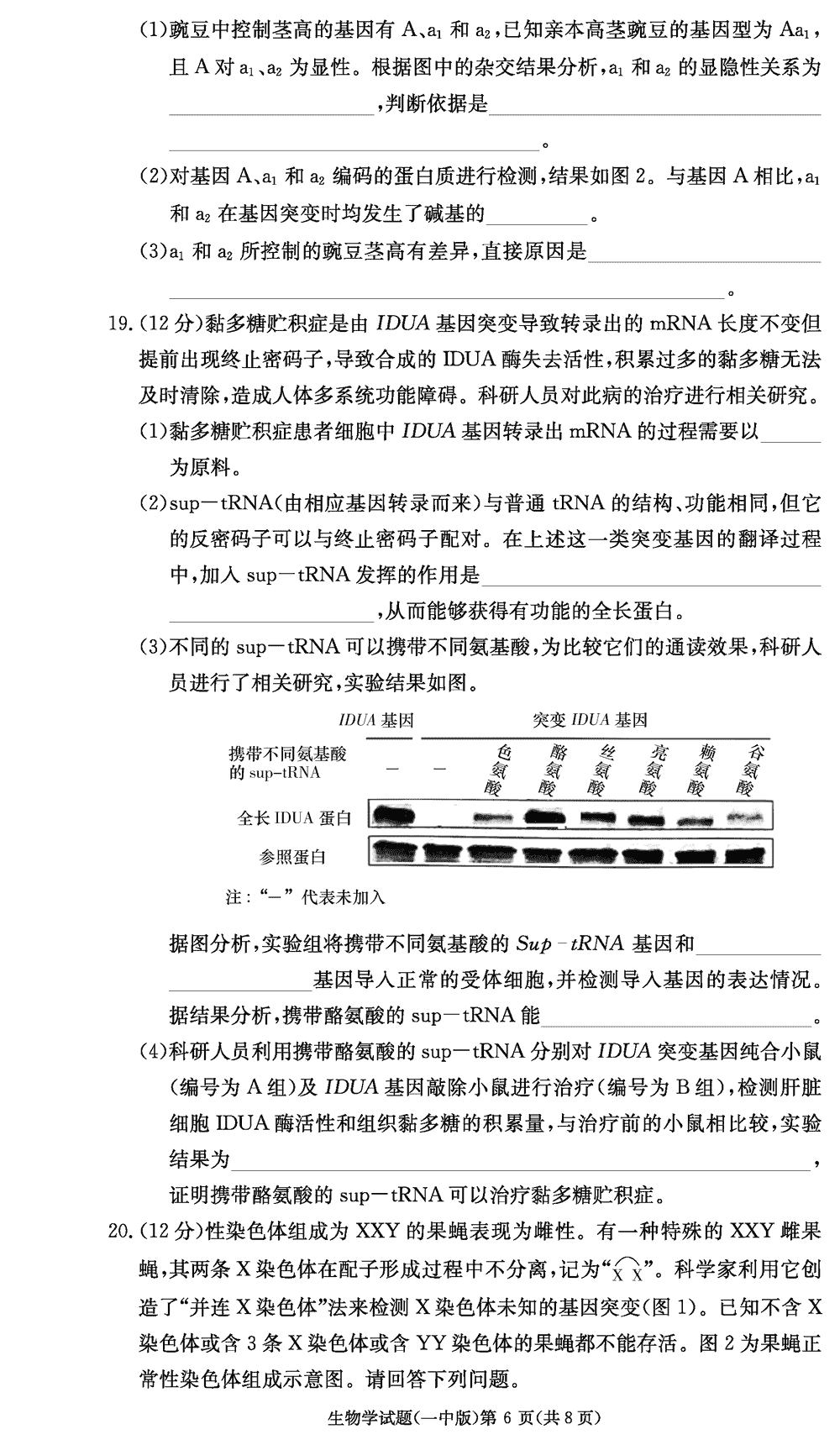 2024届湖南长沙一中高三上学期月考（四）生物试题及答案