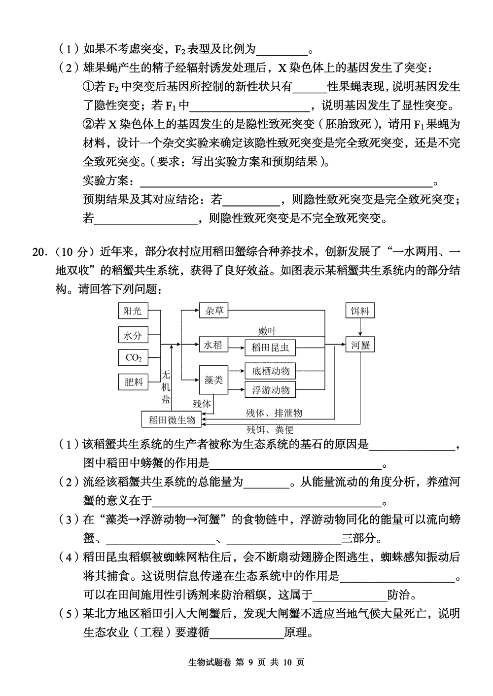 2024届湖南A佳教育高三上11月联考生物试题及答案