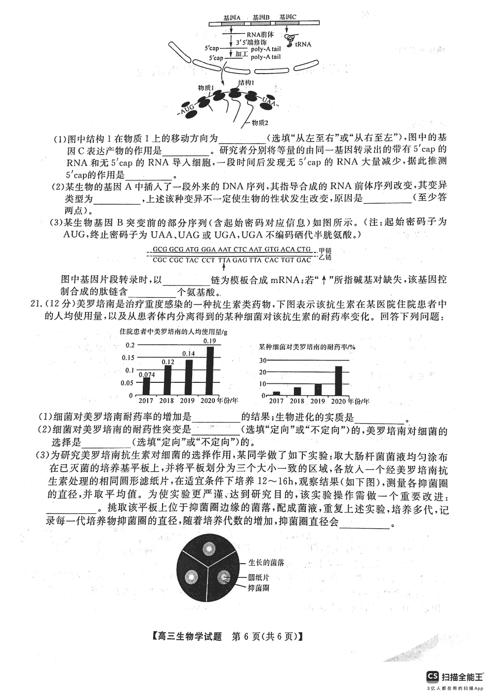 2024届湖南天壹名校联盟高三11月质检生物试题及答案