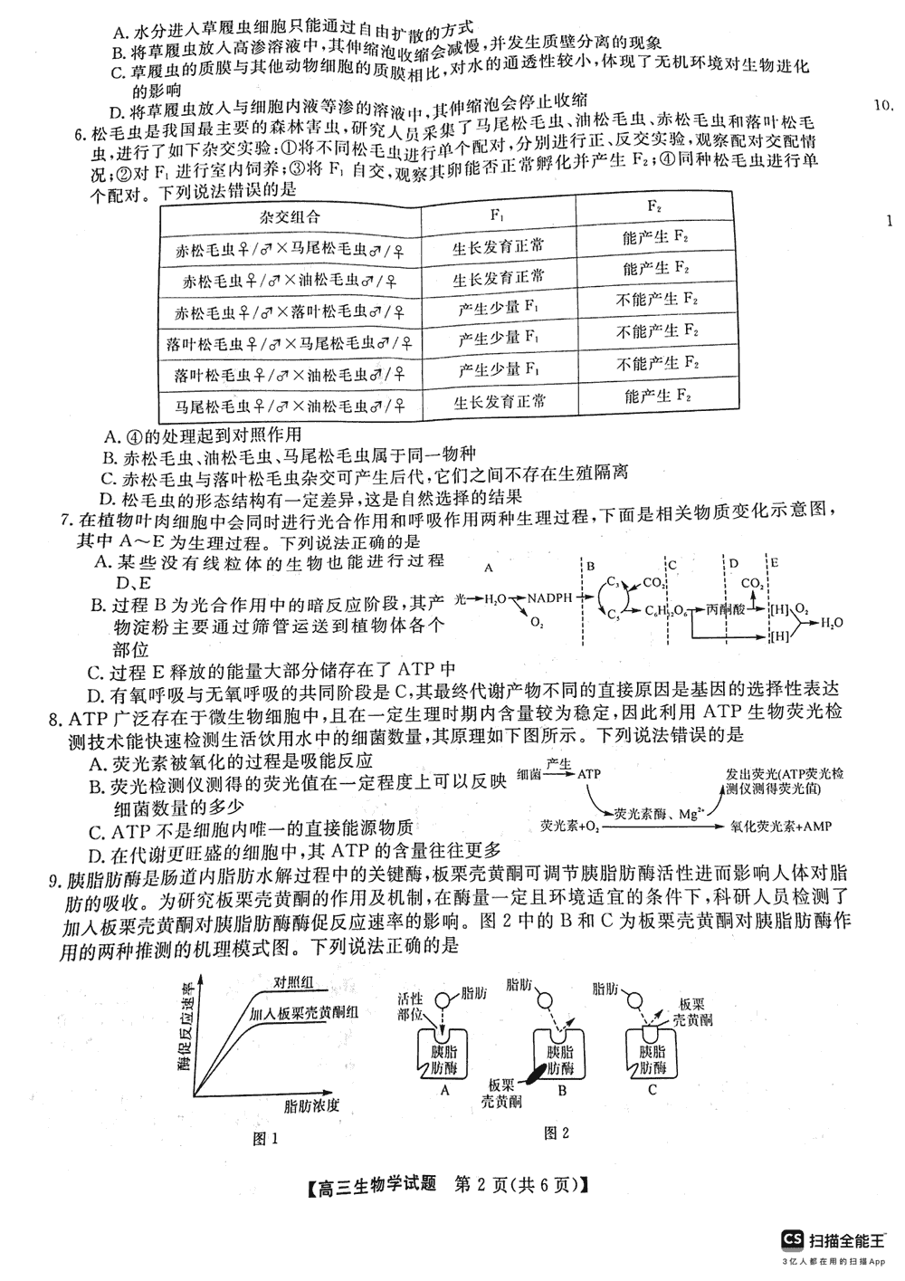 2024届湖南天壹名校联盟高三11月质检生物试题及答案