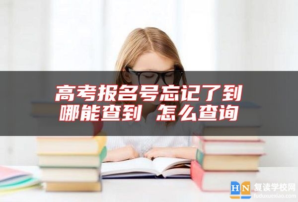 高考报名号忘记了到哪能查到 怎么查询