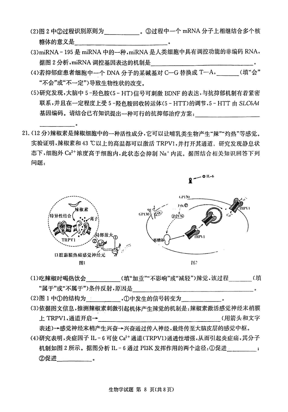 2024届湖南九校联盟高三第一次联考生物试题及答案