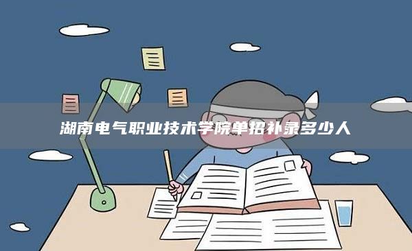 湖南电气职业技术学院单招补录多少人