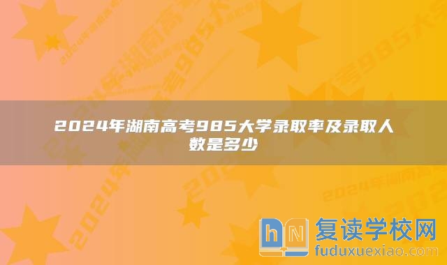 2024年湖南高考985大学录取率及录取人数是多少