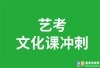 长沙十大艺考文化课培训机构推荐